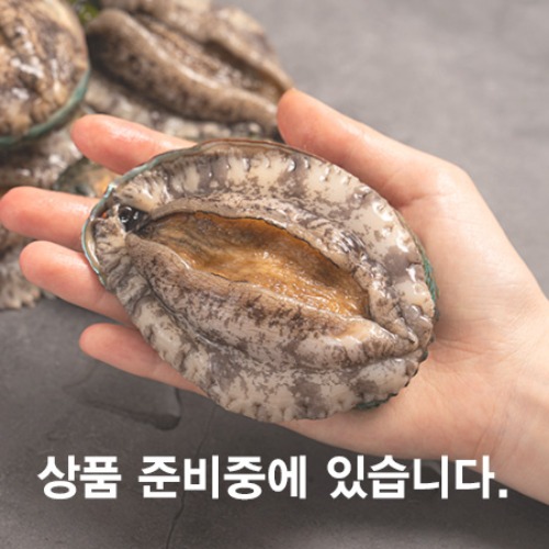글로리푸드 THE건강한 전복 12-13미 1kg 대전복 (3-4년산)